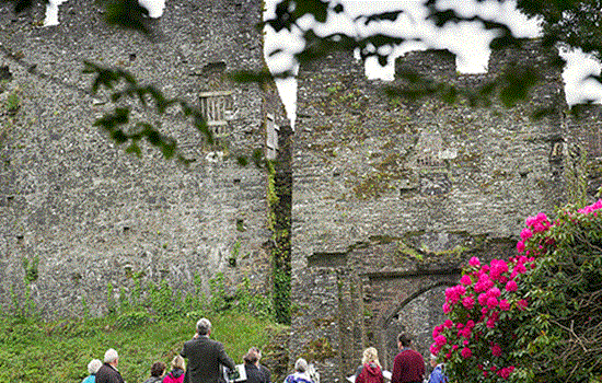 A group of people are gathered in the grounds listening to a speaker. They are surrounded by plants and greenery.